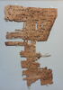 papyrus, image 1/4