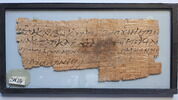 papyrus, image 1/2