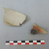 coupelle, fragment, image 1/2