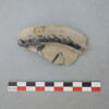 coupelle, fragment, image 3/3