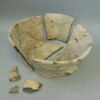 cuvier, image 1/10