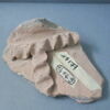 cuvier, image 2/3