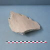 cuvier, image 3/3