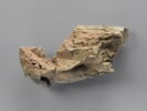 sculpture, fragment, image 2/2