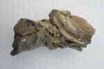 sculpture, fragment, image 8/9