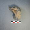 sculpture, fragment, image 2/3