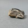sculpture, fragment, image 2/2