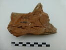 sculpture, fragment, image 2/6