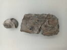 sculpture, fragment, image 1/5