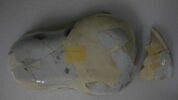 bidet, image 9/11