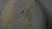 bidet, image 10/11