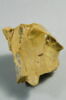 Fragment d'architecture avec traces de trophée d'armes, image 4/6