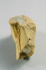 Fragment d'architecture avec traces de trophée d'armes, image 5/6