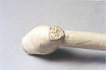 pipe, image 5/5