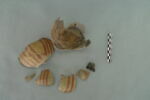 objet indéterminé, image 1/3