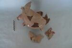 gourde, image 1/3