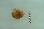 gobelet, image 1/3