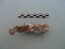 nodule, image 1/3