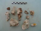 nodule, image 2/3