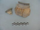 col, fragment, image 3/3