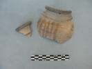 col, fragment, image 2/3