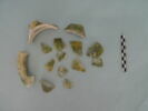 tesson, image 2/3