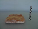carreau, fragment, image 2/3