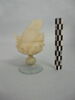 verre à jambe à bouton, image 3/3