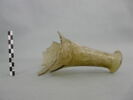 bouteille, image 3/3