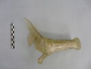 bouteille, image 2/3