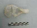 flacon, fragment, image 2/3