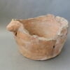 cuvier, image 1/3