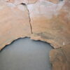 cuvier, image 3/3