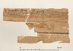 papyrus documentaire, image 2/2