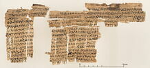 papyrus documentaire, image 1/2