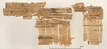 papyrus documentaire, image 2/2