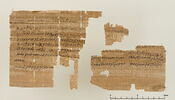 papyrus documentaire, image 2/2