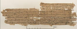 papyrus documentaire, image 1/2