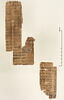 papyrus documentaire, image 2/2