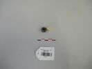 perle, image 1/2