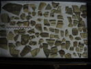 vase ; fragment, image 2/2
