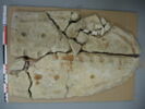 couvercle de sarcophage, image 4/4