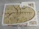 couvercle de sarcophage, image 1/4