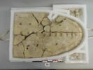 couvercle de sarcophage, image 2/4