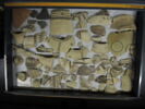 vase ; fragment, image 1/2