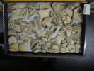 vase ; fragment, image 2/2
