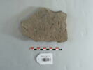 Fragment inscrit, image 1/2