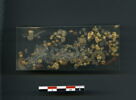 perle, image 2/2