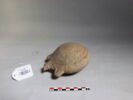 vase, image 1/2