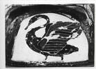 cratère, image 6/8